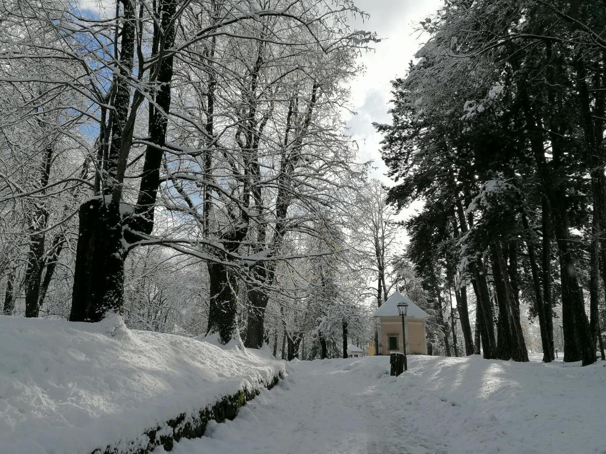 Appartamento Bellavista Cavalese Exteriér fotografie